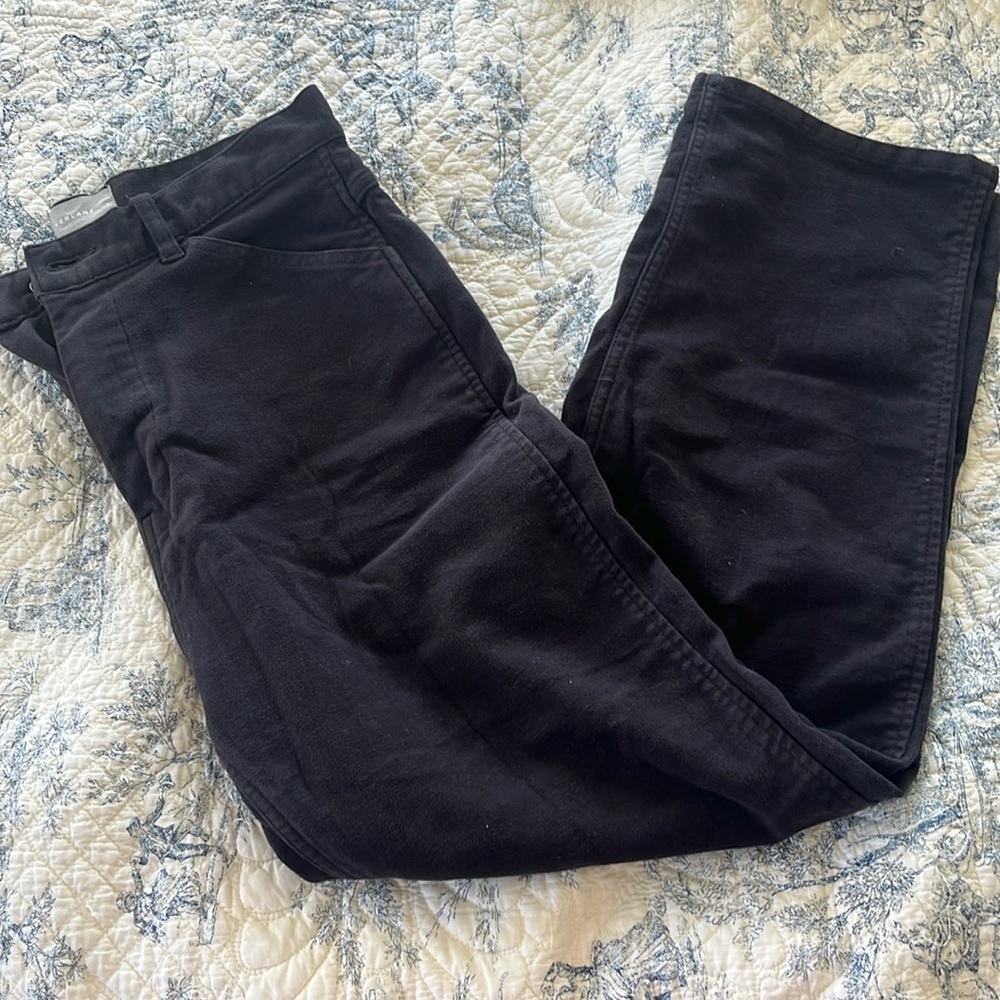 moleskin everlane pants
